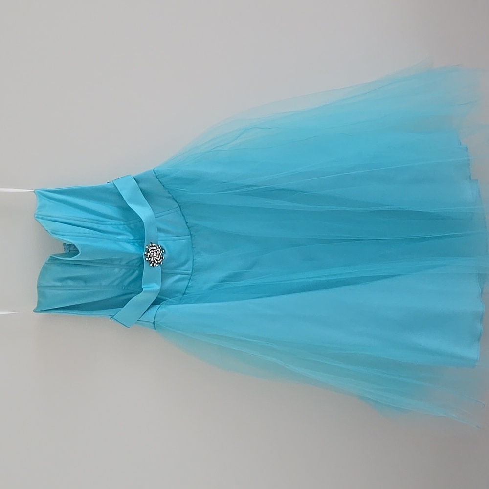 Blue Sweetheart Bodice and Tulle Gown